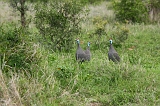 IMG_2467