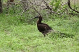 IMG_2475