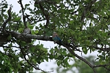 IMG_2544