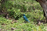 IMG_2709