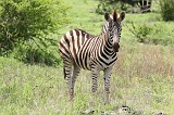 IMG_2892