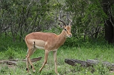 IMG_2915