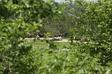 IMG_2927