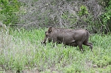 IMG_2928