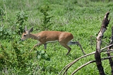 IMG_2975