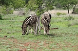 IMG_3246