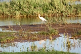 IMG_3477