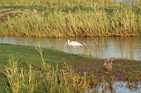 IMG_3478