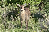 IMG_3610