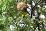 IMG_3738
