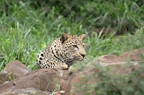 IMG_4022