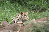 IMG_4023