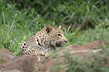 IMG_4024
