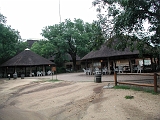 P1010174