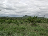 P1010195