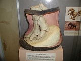 P1010232