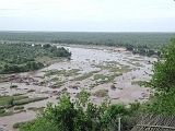 P1010242