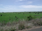 P1010247