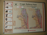 P1010250