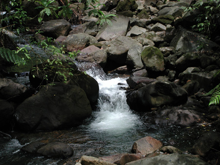 A074_P8120078