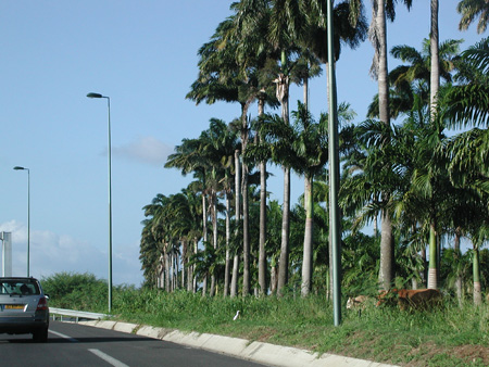 A085_P8120110