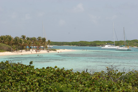 A113_IMG_4962