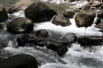 A026_IMG_4551