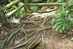A034_IMG_4589