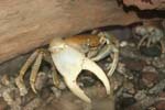 A040_IMG_4644