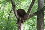 A056_IMG_4758