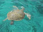 A124_IMG_4983A