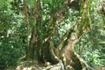 A167_IMG_5005