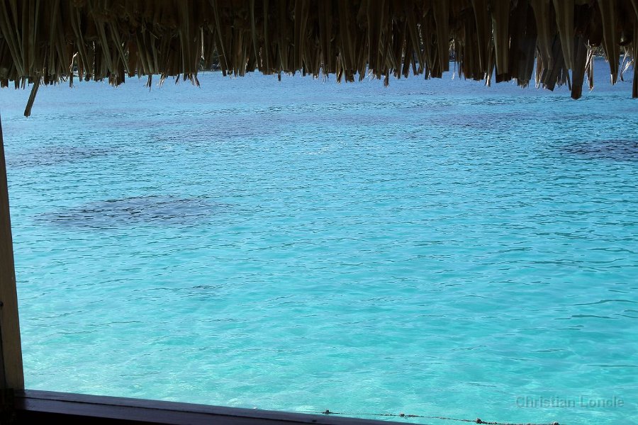 0109 IMG 3003 Bora-Bora