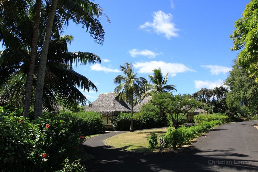 0036 IMG 1883 Moorea