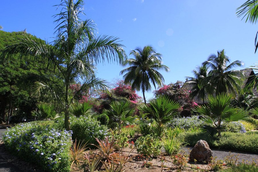 0043 IMG 1893 Moorea