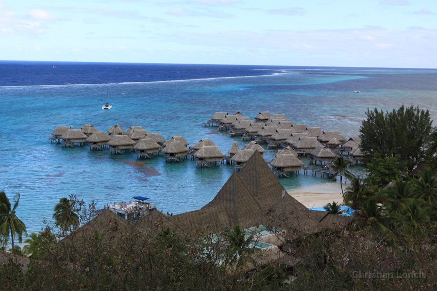0044 IMG 1897 Moorea