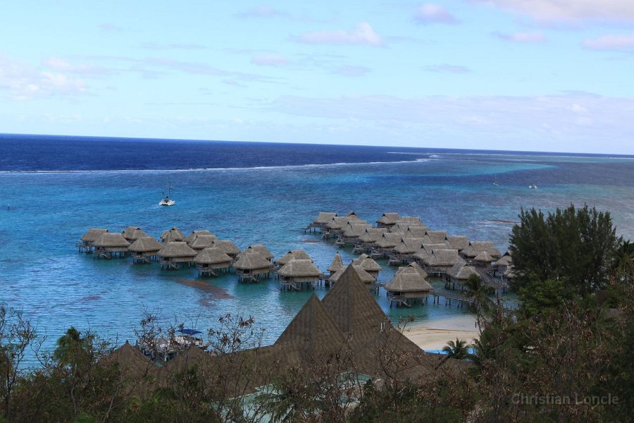 0046 IMG 1902 Moorea