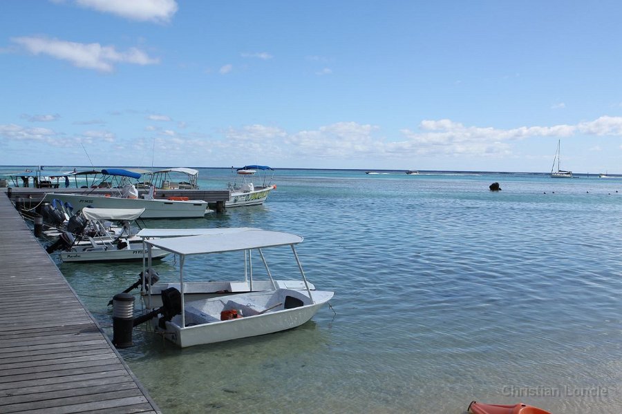 0084 IMG 1919 Moorea