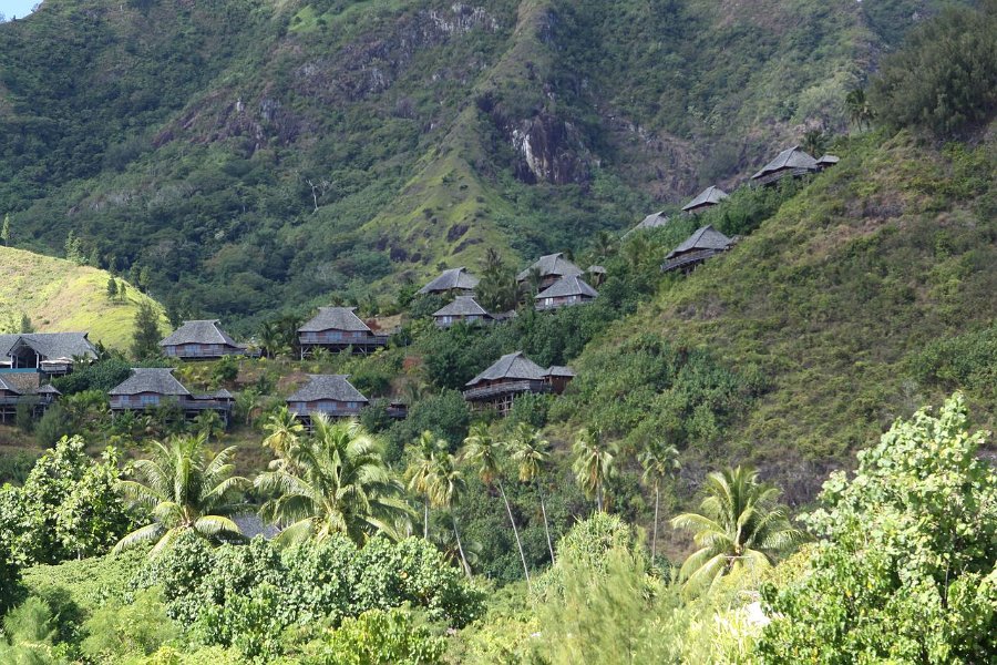 0086 IMG 1921 Moorea