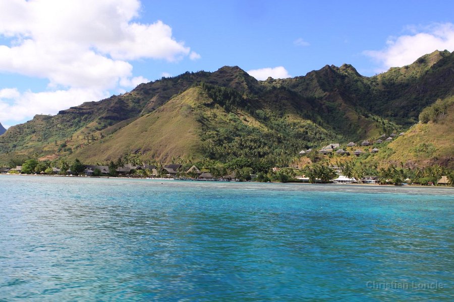 0091 IMG 1929 Moorea