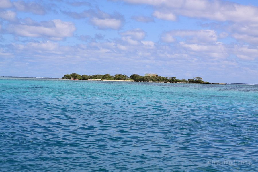 0092 IMG 1931 Moorea