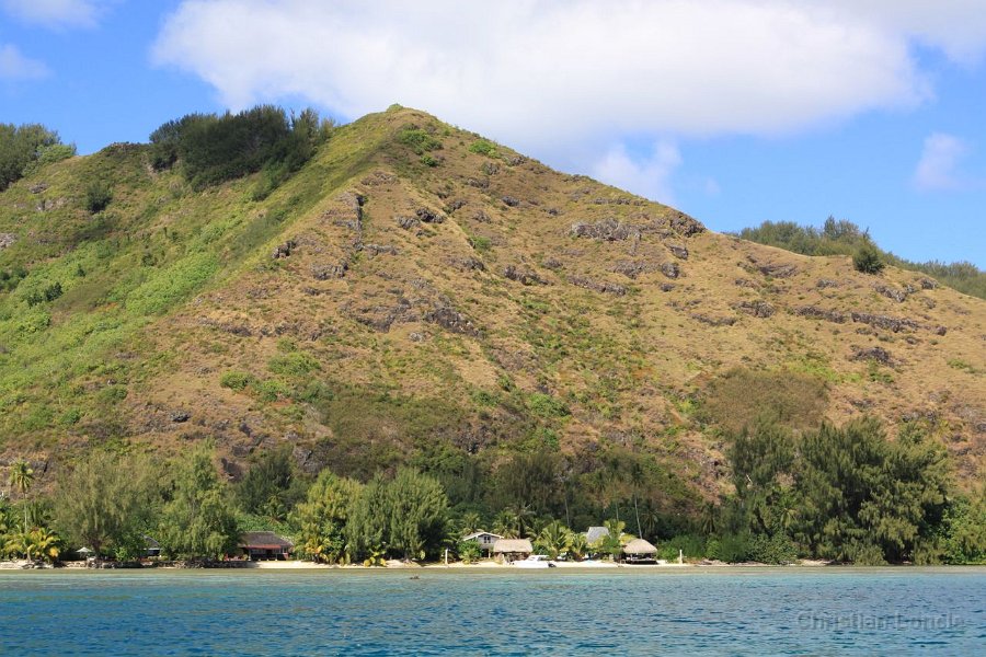 0093 IMG 1933 Moorea