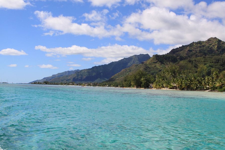 0109 IMG 1966 Moorea