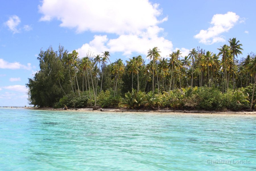 0110 IMG 1967 Moorea