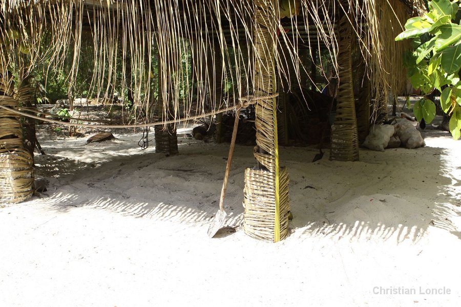 0113 IMG 1970 Moorea