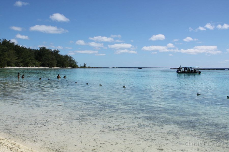 0117 IMG 1977 Moorea