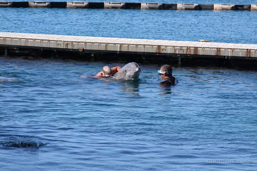 0188 IMG 2110 Moorea