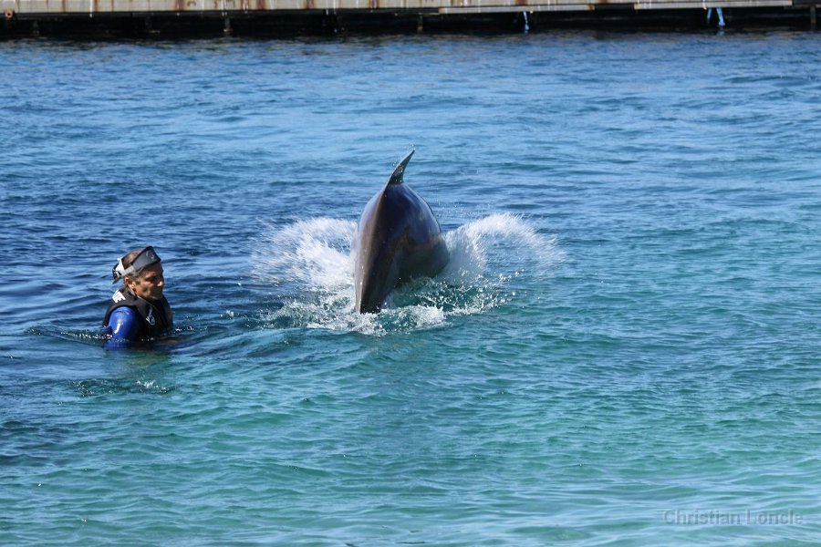 0192 IMG 2118 Moorea