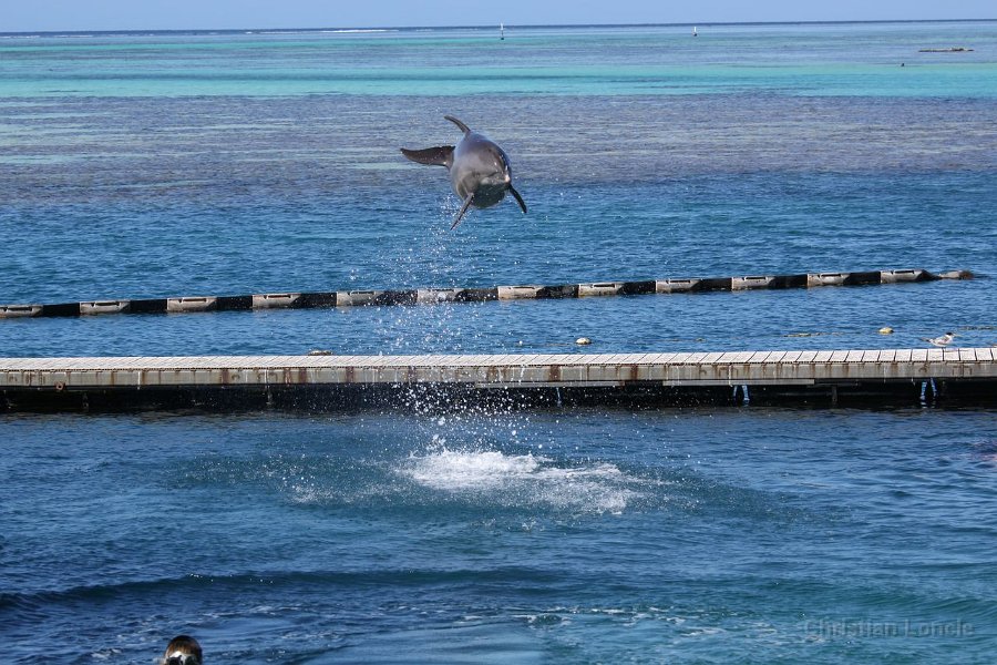 0193 IMG 2120 Moorea