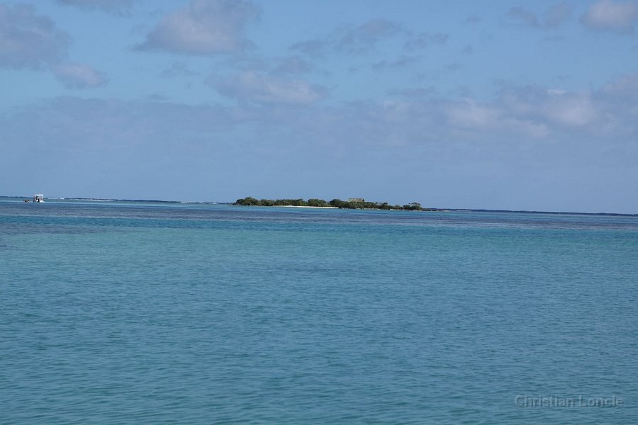 0229 IMG 2133 Moorea